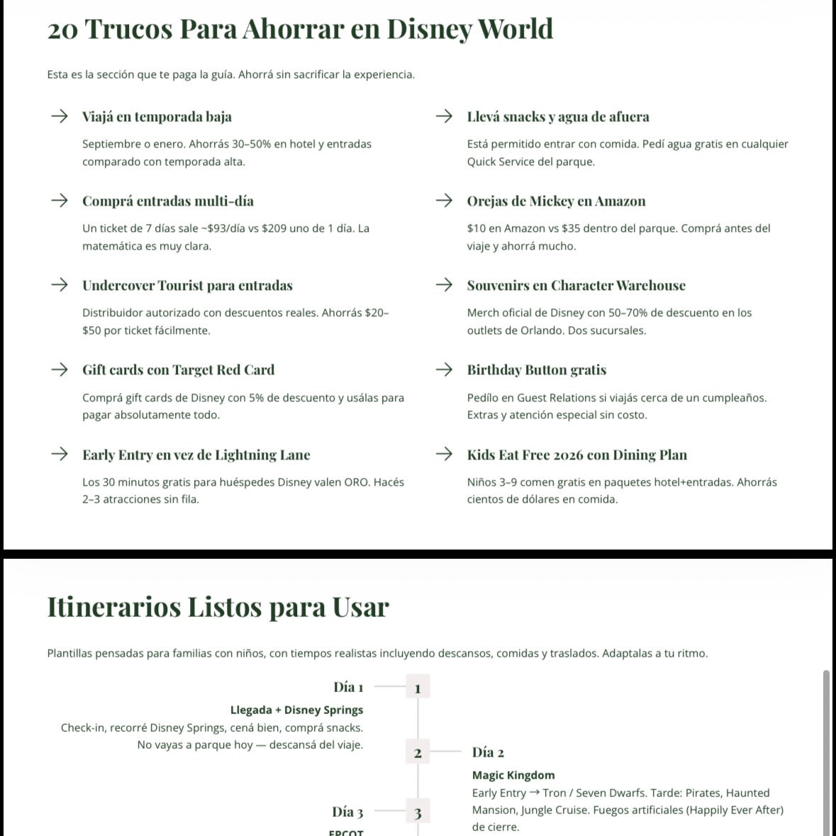 🏰 Guía Premium Disney World Orlando 2026 | Itinerarios, Presupuestos y Tips para tu Viaje