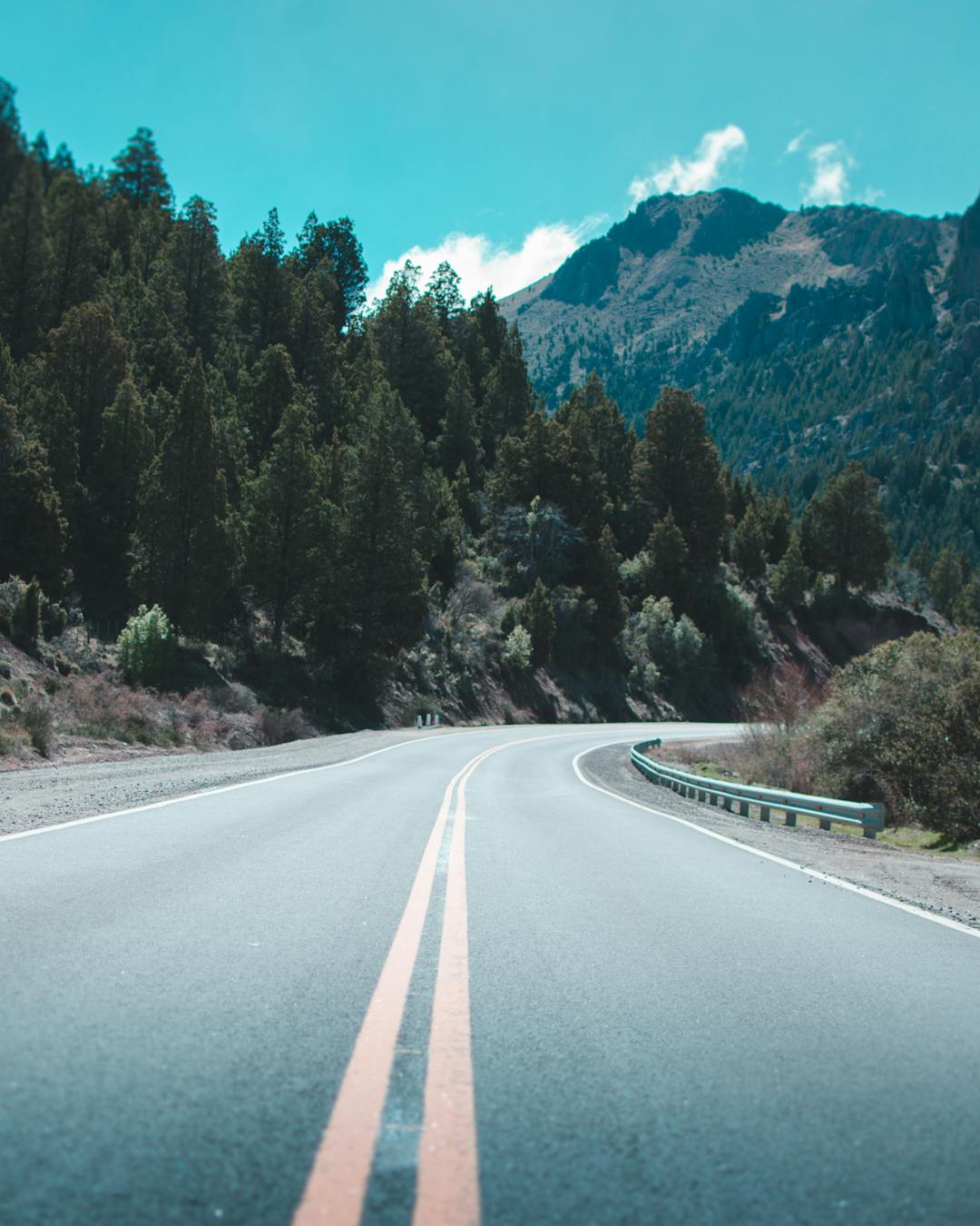 Guía Bariloche 🏔️